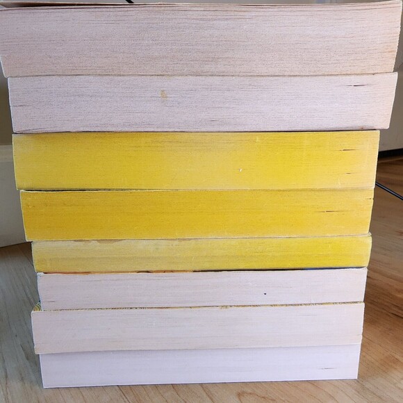 Lot of 8 Fantasy and Magic Books by Baudine, Snyder, Stasheff, Kellogg Paperback - Picture 5 of 6